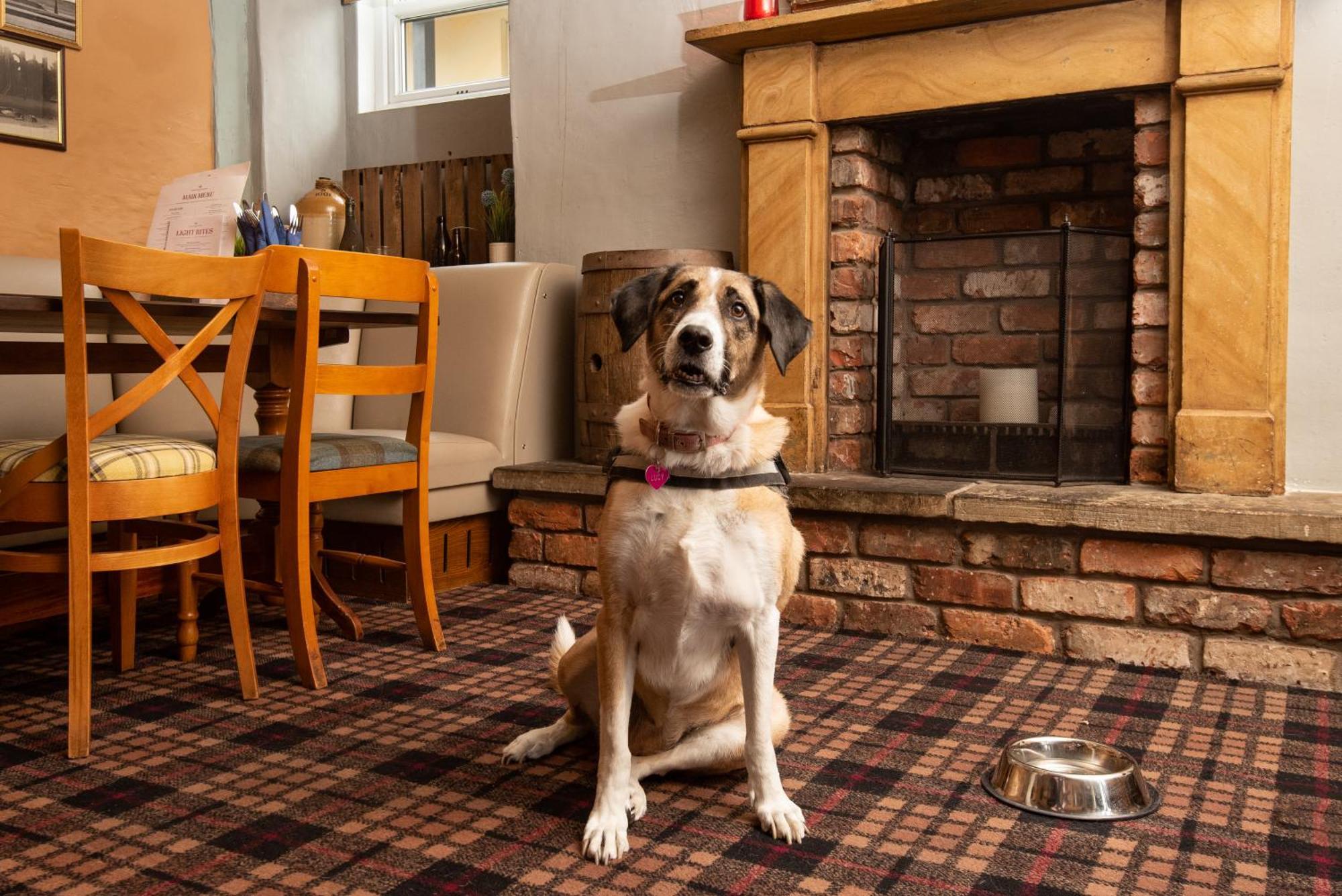 The Lindisfarne Inn - The Inn Collection Group Beal Luaran gambar